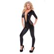 Wetlook Mesh Catsuit Kitten-Boxed 10-1052K