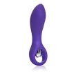 Purple silicone Cal Exotic Booty Probe with tapered tip, looped base handle and silver bullet stimulator